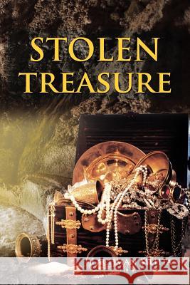 Stolen Treasure Lachman Mehta 9781479714780