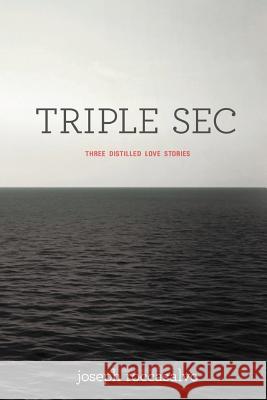 Triple SEC Joseph Roccasalvo 9781479730704 Xlibris Corporation