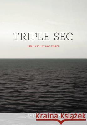 Triple SEC Joseph Roccasalvo 9781479730711 Xlibris Corporation