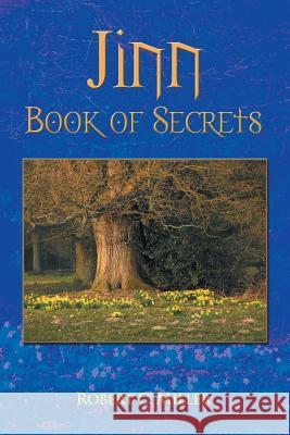 Jinn Book of Secrets: Book of Secrets Miller, Robert C. 9781479735761