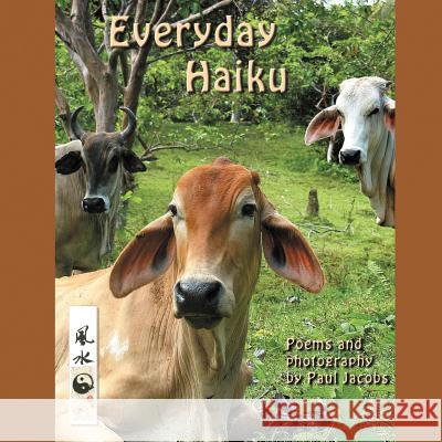 Everyday Haiku Paul Jacobs 9781479743889