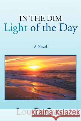 In the Dim Light of the Day Lou DeCaro 9781479752522