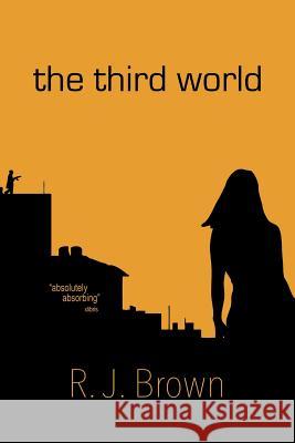 The Third World R. J. Brown 9781479765638 Xlibris Corporation