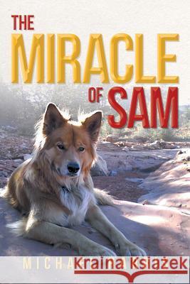 The Miracle of Sam Michael Harris 9781479775453