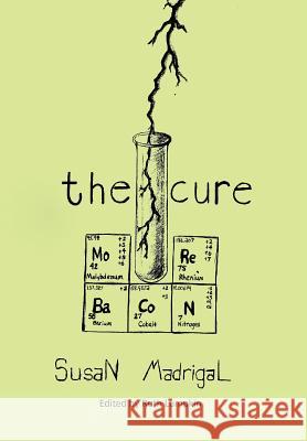 The Cure Susan Madrigal 9781479775613