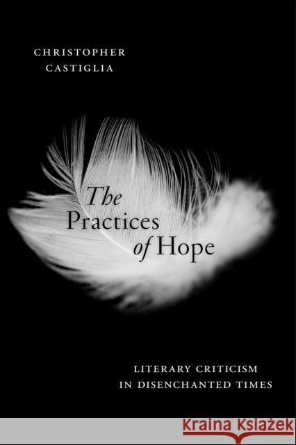 The Practices of Hope: Literary Criticism in Disenchanted Times Christopher Castiglia 9781479803552 New York University Press