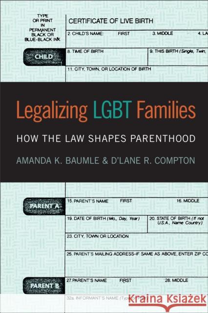 Legalizing Lgbt Families: How the Law Shapes Parenthood Amanda K. Baumle D'Lane R. Compton 9781479811816 New York University Press