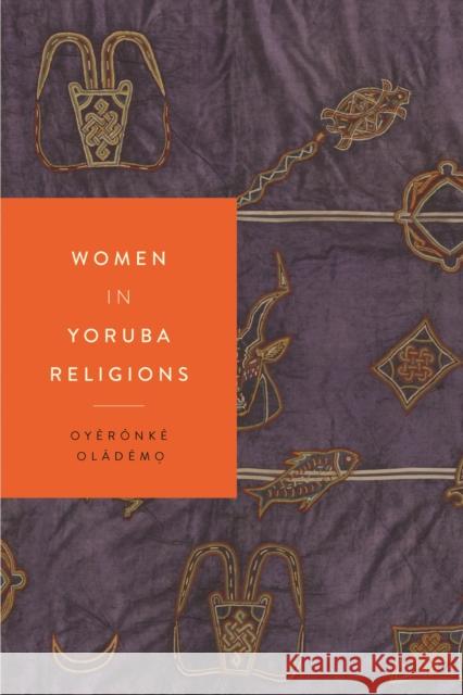 Women in Yoruba Religions  9781479813971 New York University Press