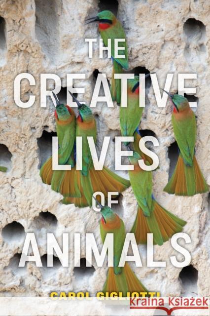 The Creative Lives of Animals Carol Gigliotti 9781479815449 New York University Press