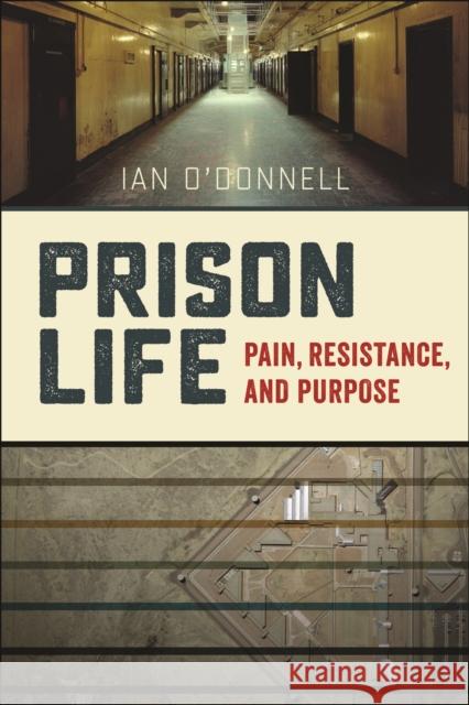Prison Life: Pain, Resistance, and Purpose Ian O'Donnell 9781479816132 New York University Press