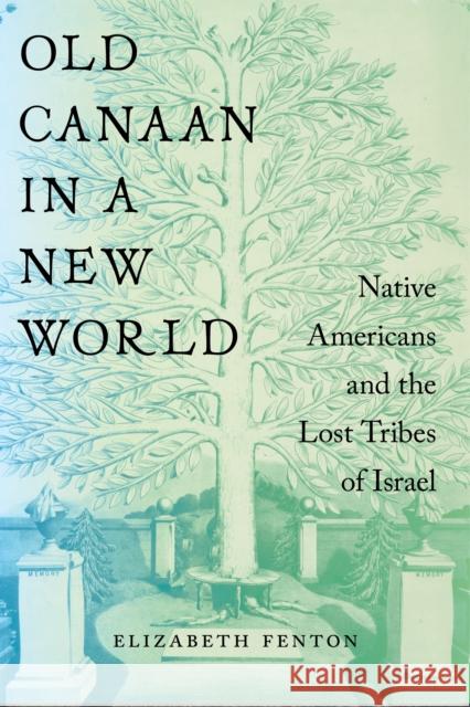 Old Canaan in a New World: Native Americans and the Lost Tribes of Israel Elizabeth Fenton 9781479820481 New York University Press