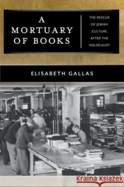 A Mortuary of Books: The Rescue of Jewish Culture After the Holocaust Alex Skinner Elisabeth Gallas 9781479833955