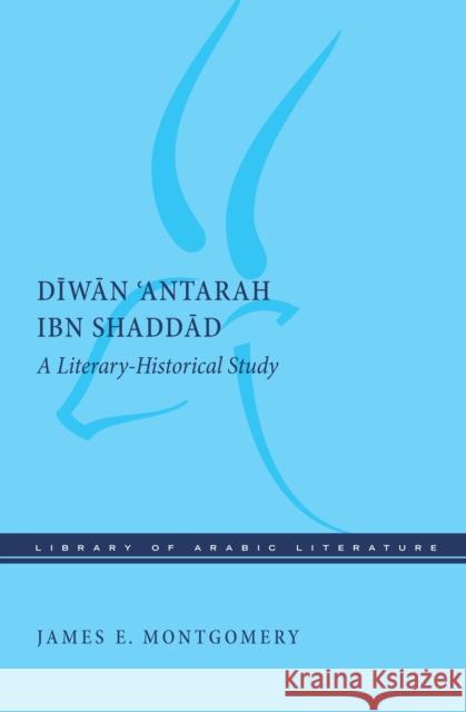 Diwan 'Antarah Ibn Shaddad: A Literary-Historical Study Montgomery, James E. 9781479861880 New York University Press