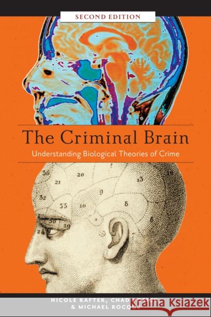 The Criminal Brain, Second Edition: Understanding Biological Theories of Crime Nicole Rafter Chad Posick Michael Rocque 9781479867547 New York University Press
