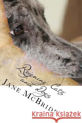 Reigning Cats and Dogs Jane McBride 9781480070462 Createspace