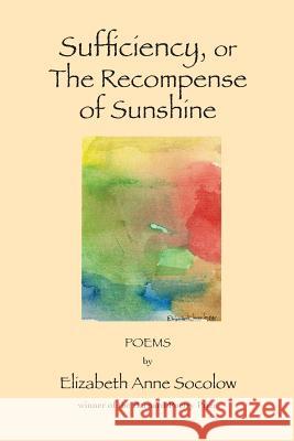 Sufficiency, or The Recompense of Sunshine Socolow, Elizabeth Anne 9781480073517