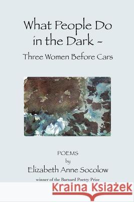 What People Do in the Dark Elizabeth Anne Socolow 9781480075467 Createspace