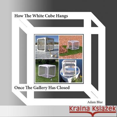 How The White Cube Hangs Once The Gallery Has Closed Blue, Adam 9781480083387 Createspace