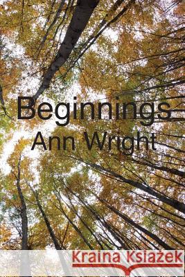 Beginnings Ann Wright 9781480101432 Createspace