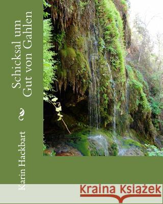 Schicksal Um Gut Von Gahlen Frau Karin Hackbart 9781480129160 Createspace