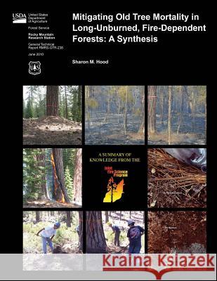 Mitigating Old Tree Mortality in Long-Unburned, Fire-Dependent Forests: A Synthesis Sharon M. Hood U. S. Department of Agriculture Forest Service 9781480173965 Createspace