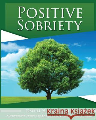 Positive Sobriety Daniel H. Angre 9781480179165 Createspace