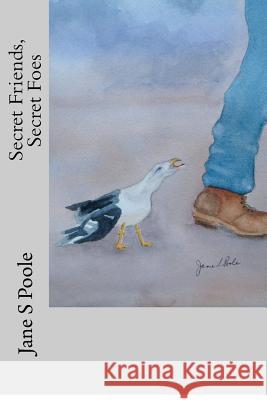 Secret Friends, Secret Foes Jane S. Poole 9781480195059 Createspace