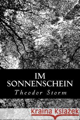 Im Sonnenschein Theodor Storm 9781480287020 Createspace