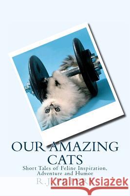 Our Amazing Cats: Short Tales of Feline Inspiration, Adventure and Humor R. J. Peters 9781480292550 Createspace