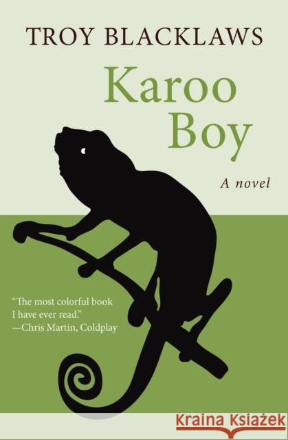 Karoo Boy Blacklaws, Troy 9781480417823 Open Road Publishing