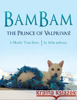 BamBam, the Prince of Valprivas!: A Mostly True Story Little Anthony 9781480824669