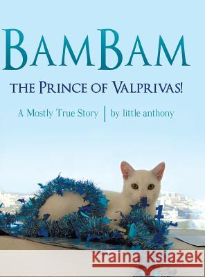 BamBam, the Prince of Valprivas!: A Mostly True Story Little Anthony 9781480827271