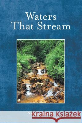 Waters That Stream Senka Delic 9781480865976 Archway Publishing