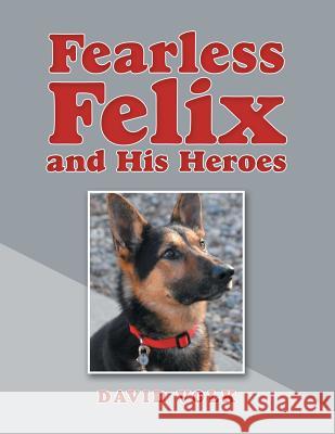 Fearless Felix and His Heroes David Volk 9781480870963