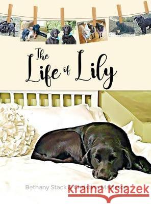 The Life of Lily Bethany Stack Christina Mattsson 9781480979598 Rosedog Books