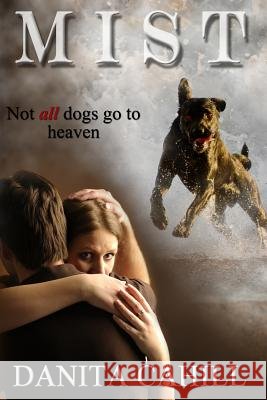 Mist Danita Cahill 9781481034227