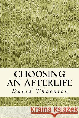 Choosing an Afterlife: Poetry 2008-2012 David Thornton 9781481067935