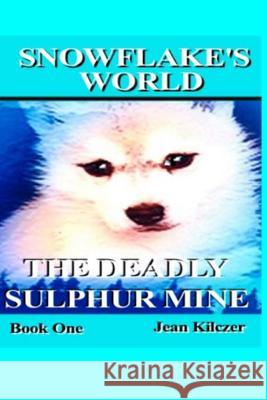 Snowflake's World: The Deadly Sulphur Mine Jean Kilczer 9781481071963