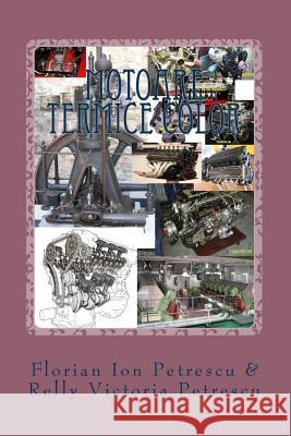 Motoare Termice Color: USA 2012 Dr Florian Ion Petrescu 9781481088282 Createspace