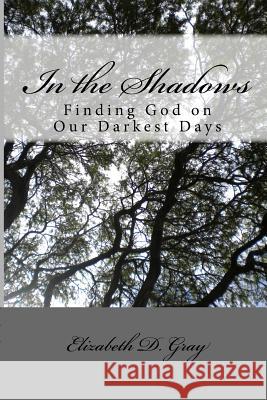 In the Shadows: Finding God on Our Darkest Days Elizabeth D. Gray 9781481106924 Createspace