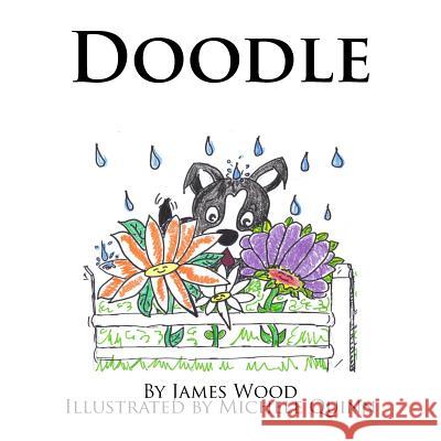 Doodle James Wood Michele Quinn 9781481114103