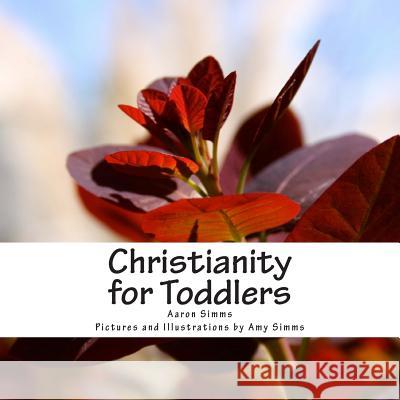 Christianity for Toddlers Rev Aaron Simms Amy Simms 9781481204163 Createspace