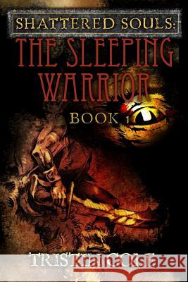Shattered Souls: The Sleeping Warrior: Book I Tristin Cole 9781481211666 Createspace