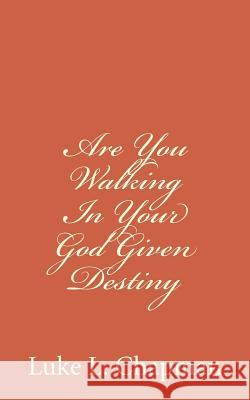 Are You Walking In Your God Given Destiny Carpenter, The Village 9781481243513