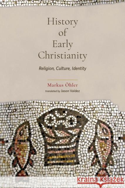 History of Early Christianity: Religion, Culture, Identity Markus OEhler 9781481313957 Baylor University Press