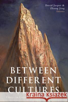 Between Different Cultures: Essays in Conversation with Yang Huilin David Jasper Zhang 9781481322201 Baylor University Press