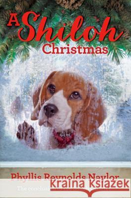 A Shiloh Christmas Phyllis Reynolds Naylor 9781481441537 Atheneum/Caitlyn Dlouhy Books