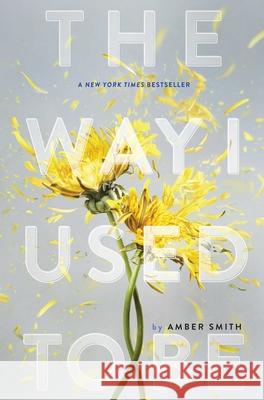 The Way I Used to Be Amber Smith Kevin Twomey 9781481449359 Margaret K. McElderry Books