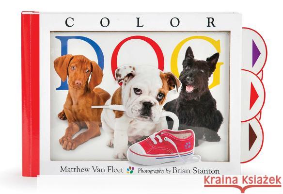 Color Dog Matthew Va Brian Stanton Brian Stanton 9781481449861 Simon & Schuster/Paula Wiseman Books