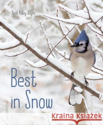 Best in Snow April Pulle April Pulle 9781481459167 Beach Lane Books